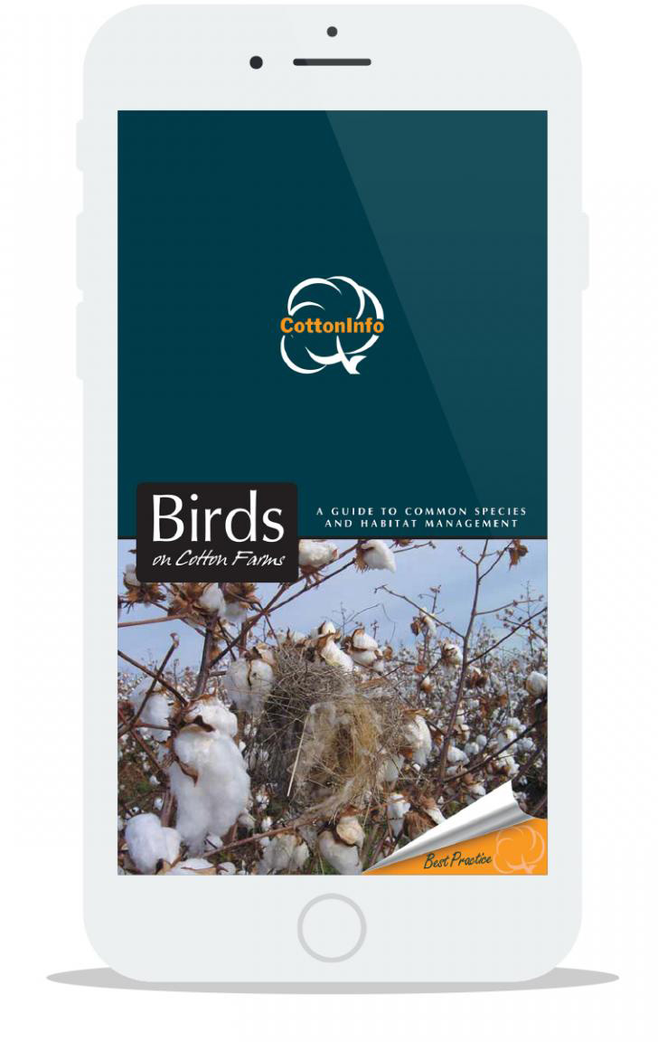 View of the app on an iphone