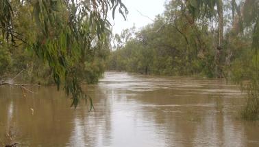 Condamine River