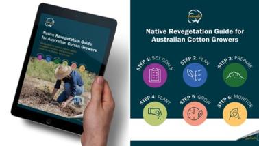Native Revegetation Guide